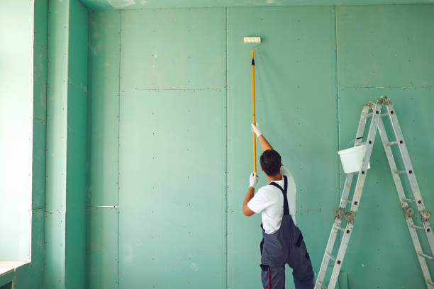 Trusted Lake Leann, MI Mold Removal Experts
