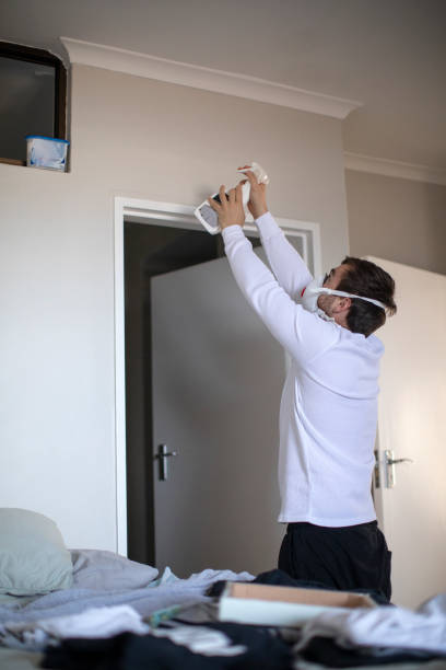 Mold Documentation for Insurance Claims in Lake Leann, MI