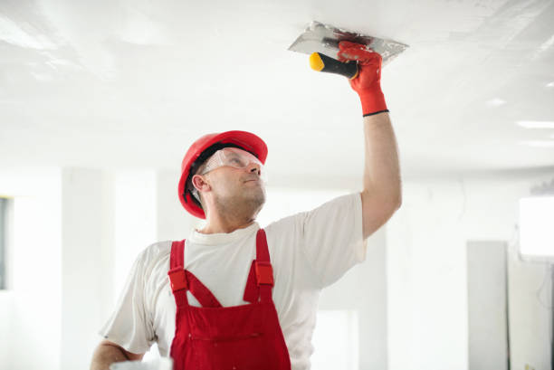 Best Water Damage & Mold Remediation  in Lake Leann, MI