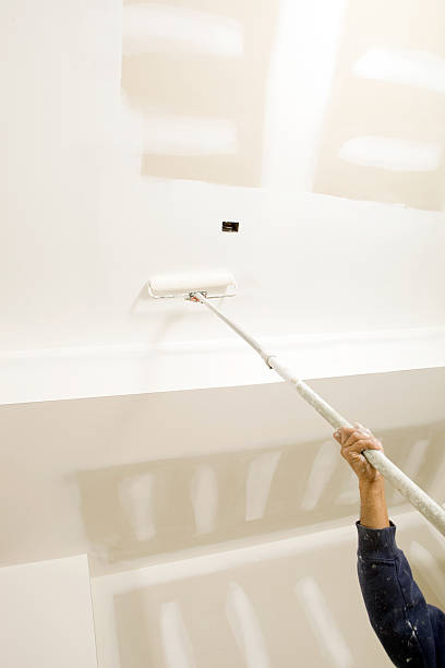 Best Emergency Mold Remediation  in Lake Leann, MI